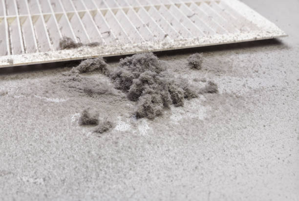 Best Emergency Air Duct Cleaning  in Big Bear City, CA